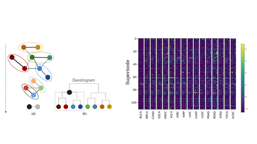 Graph coarsening and dendrogram from Figure 2 beside the supernode embedding heatmap from Figure 5(a).